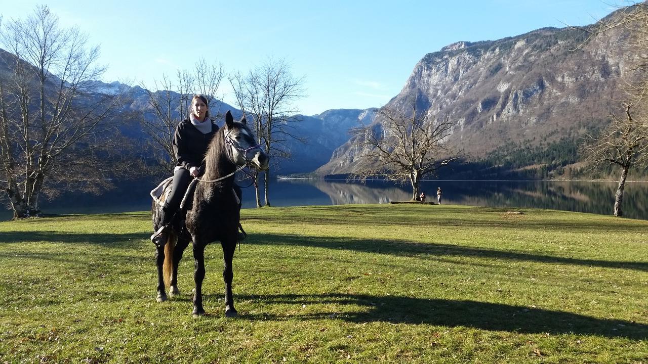 Domacija Loncnar- Apartment Bohinj Eksteriør billede